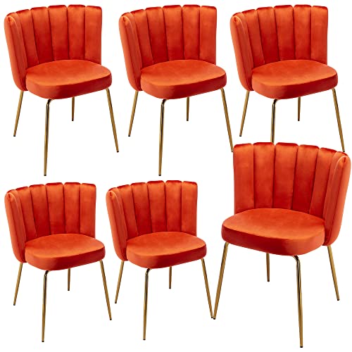 Velvet Barrel Dining Chairs Set of 2 Modern Accent Chairs Upholstered Host Side Chairs with Gold Metal Legs for Home Kitchen Living Room, Rose