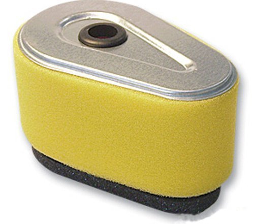 Filtre à Air Carkio Pour Tondeuse Kawasaki FC150V - Compatible John Deere M79451