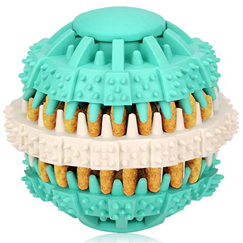 Vivi Bear Chien Jouet interactif Chien Jouets Non-Toxique Morsure en Caoutchouc résistant à la dent de Chien Jouet à mâcher interactivement pour Chiot Petit Gros Chien