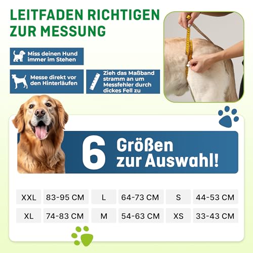 Nature Pet © - Tragehilfe Hund hinten - Verstellbarer Hunde Tragegurt als Treppenhilfe - Ideal für ältere, kranke oder operierte Vierbeiner - Praktische Unterstützung für Mobilität (M, Blau)