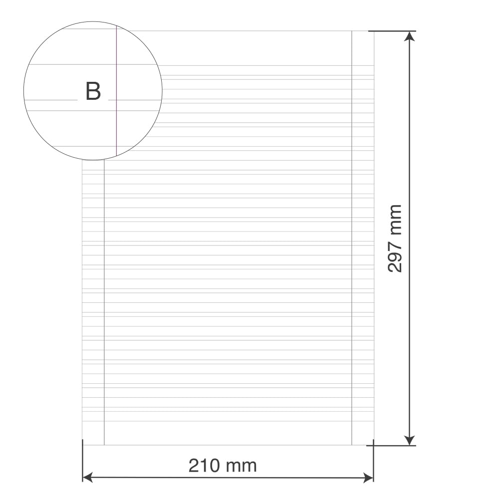 BM BeMore Carta Protocollo A4 21cm x 29,7cm Righe con Margini 60 g/mq 200 Fogli
