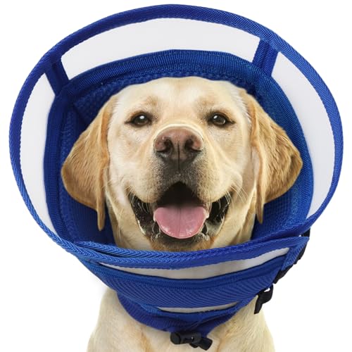 IECOii�G���U�x�X�J���[ �� �ʋC�� �\�t�g �����\ �܂肽���ݎ� �� �J���[ ���r�ߖh�~ �����~���h�~ �p��� �O�� �畆���� �ڎ����̎��� ���p�i ��^�� �u���[ XL