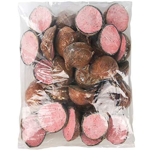 SQUAWK Berry Suet Filled Coconut Halves | Premium Garden Wild Bird Food | Protein-Rich High Energy Feed | Sunflower Seeds and Cereal Oat | Healthy Development for Birds | Year-Round Feeding (5 Pack)