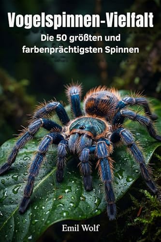 Vogelspinnen-Vielfalt: Die 50 größten und farbenprächtigsten Spinnen Vogelspinnen-Vielfalt: Die 50 größten und farbenprächtigsten Spinnen