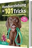  Hundeerziehung in 101 Tricks: Spielerisch lernen mit positiven Trainingsmethoden