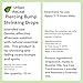 Urban ReLeaf Piercing Bump Shrinking Drops! Keloid Bumps Gentle Effective Aftercare Solution. Natural Essential Oils. Fast Removal Help for Scars Nodules Cartilage Nose Ear Spots. Clean Soothe