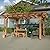 Mulinsonfly Outdoor Pergola 12'x10' - Sturdy Wooden Frame for Garden, Patio, and Backyard, Wood Pergola Ideal for Outdoor Entertaining and Relaxation