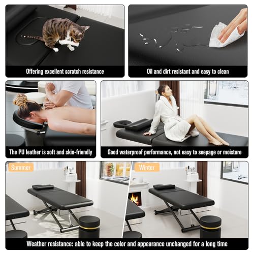 Image of Dolonm Electric Massage Table, Heavy Duty Electric Lift and Electric Backrest 2 Motor Adjustable for Treatment /Medical Spa /Facial Bed /Beauty Bed /Massage Bed and More - 31.2 Wide x 75 Long, Black