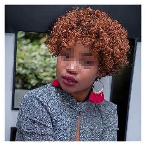 Hair Extensions Human Hair Wig Bob Human Hair Wigs Short