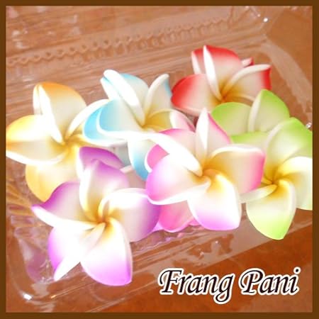 Amazon バリ フランジパニ プルメリア造花 6色 2 パックセット 飾り モチーフ 造花 オンライン通販