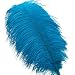 Shekyeon Turquoise 18-20inch 45-50cm Ostrich Feather Wedding Table Decoration Party Festival Supplies Pack of 5
