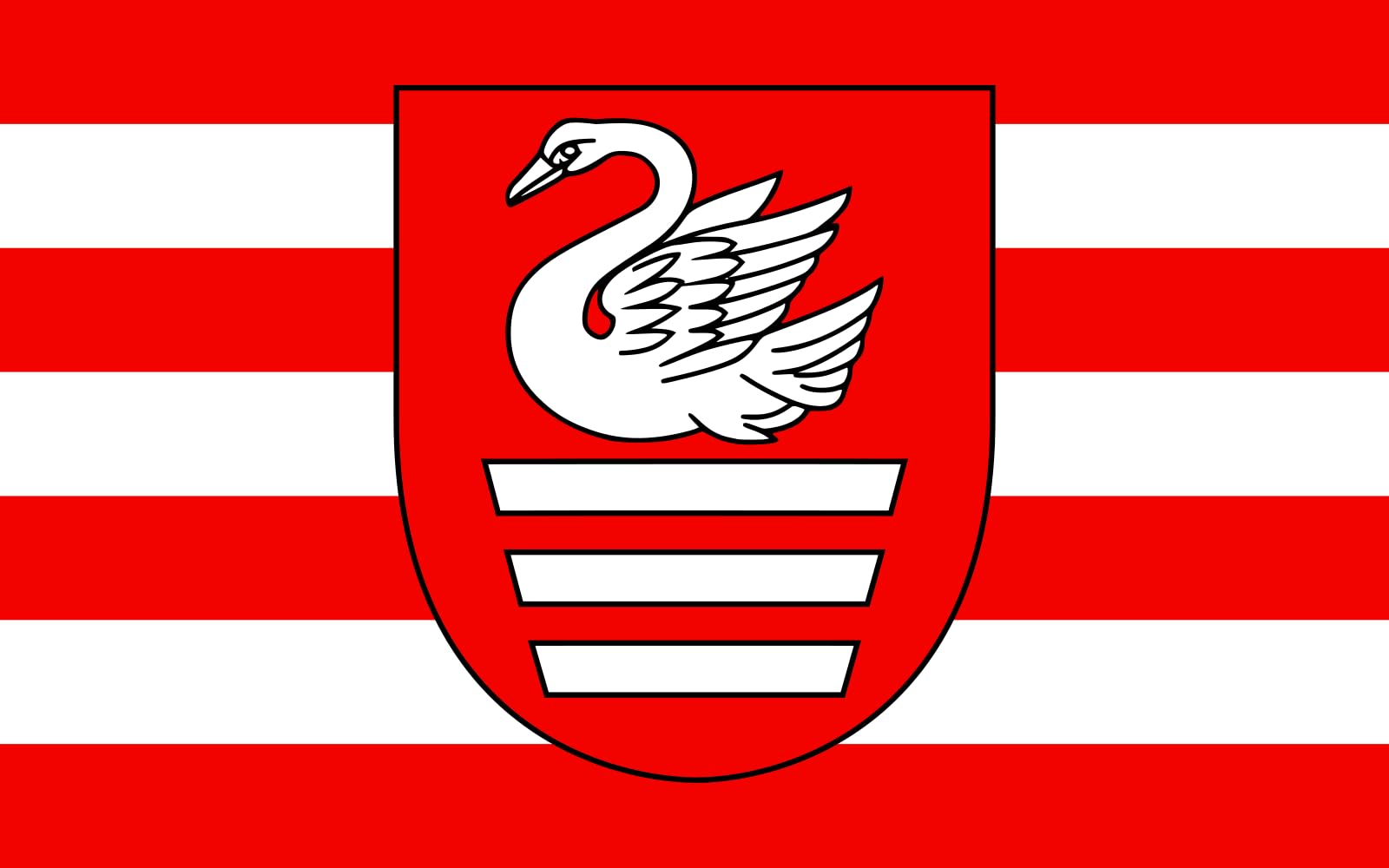 Drapeau Large POL Biłgoraj au format paysage de 1.35m² pour mât
