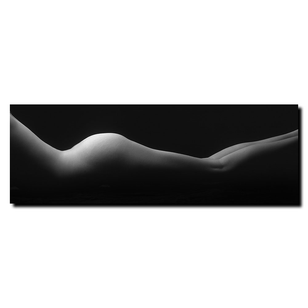 Trademark Fine Art Le Femme Canvas Art by Preston 16 by 47-Inch