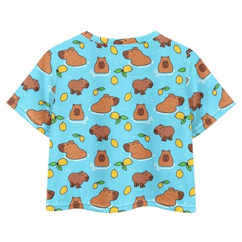Image of Girls Crop Tees Crew Neck Casual Short Sleeve T Shirts Kids Loose Soft Comfortable Tees Blouses Shirt for Little Girl