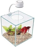 Marina Cubus Glass Betta Kit - 0.9 Gallon Cube Aquarium with LED Light, Pedestal Base for Home Office Decor