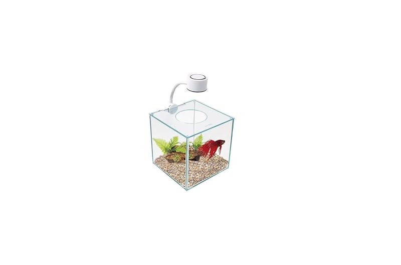 Aquário de Vidro Marina CUBUS para Betta com Luz LED e Tampa 3,4 L