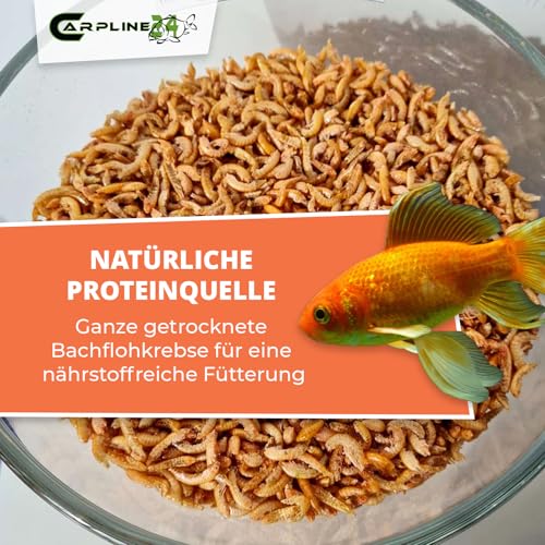 Bachflohkrebse Gammarus 2000ml - Getrocknete Insekten als Futter für Schildkröten, Axolotl, Vögel & Nager, Fischfutter für Aquarium & Teich – Bild 3