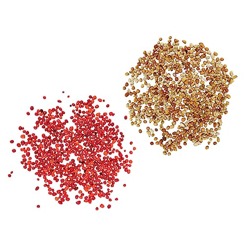 BESPORTBLE 2 Sets Aquarium Pebbles Fish Tank Pebbles Gravel Aquarium Gravel Decors Natural Garden Gravel Tank Gravel Decorative Sand for Aquarium Substrate Stones Fish Tank Supplies Glass