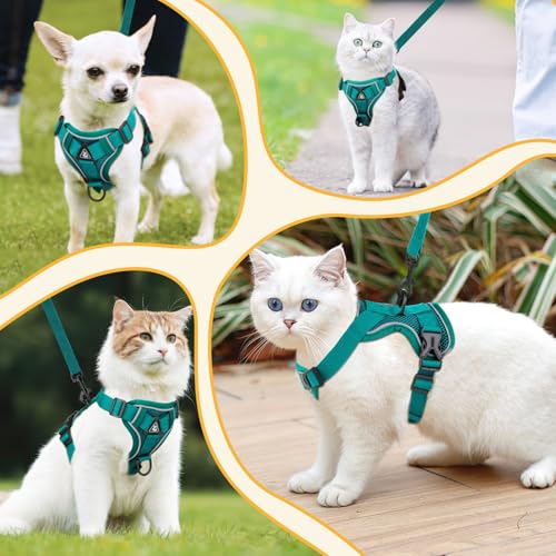 GlasFlength Katzengeschirr mit Leine Ausbruchsicher, Katzenleine mit Geschirr für Katzen Verstellbar Katzen Geschirr Set Cat Harness Softgeschirr für Katze mit Reflektierenden Streifen (Seeblau-M)