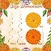 Trandraft 36 Pcs Marigold Flower Diwali Decorations Day of The Dead Dia De Los Muertos Marigold Flower Decorations Hanging Streams Swirls for Home Pooja Indian Varalakshmi Altar Ofrenda Decor