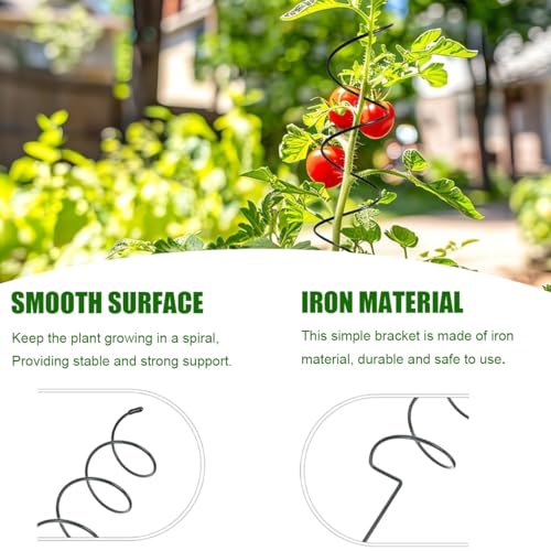 Lot de 10 piquets en spirale pour plantes grimpantes et plantes grimpantes - Idéal pour les tomates et les plantes grimpantes