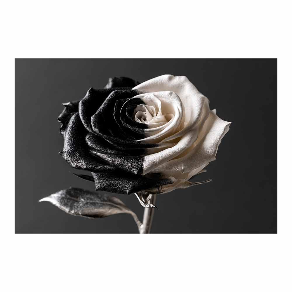HOQIU Black And White Pictures Black Whites Ros Art canvas wall art, decorative paintings, for Bedroom Living Room Bathroom Office Home Decoration(Multicolor)-80x120cm Unframed