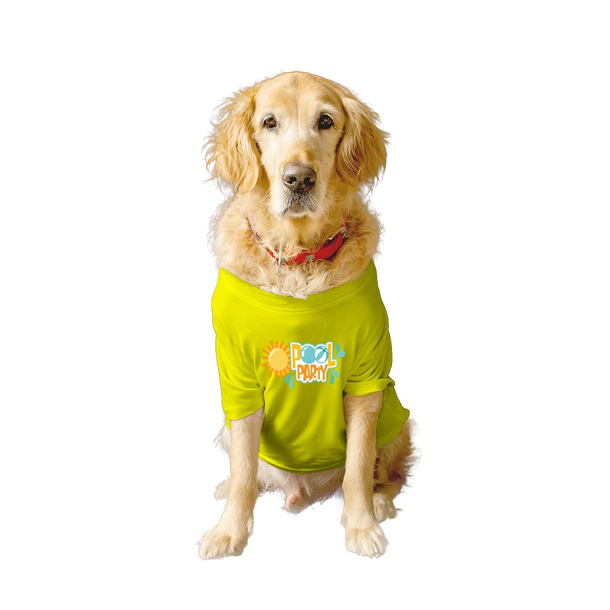 Ruse Basic Crew Neck Pool Party Printed Half Sleeves/Apparel/Clothes/T-Shirt Gift for Dogs.Colour-Yellow//Large (Full Grown Desi/Stray, Doberman etc.) (B0979C6B2L) Amazon Price History, Amazon Price Tracker