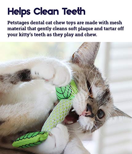 Petstages Fresh Breath Mint Stick Petstages Fresh Breath Mint Stick