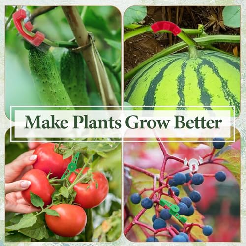 LXBCTOP 110 Stück Pflanzenbieger Lst Clips, 90°360° Low Stress Training Clips, 6 Typen Pflanzenclips, Pflanzen Bieger Clips für Biegen von Pflanzenstämmen und Ändern der Wuchsrichtung(Grün Rot Weiß)