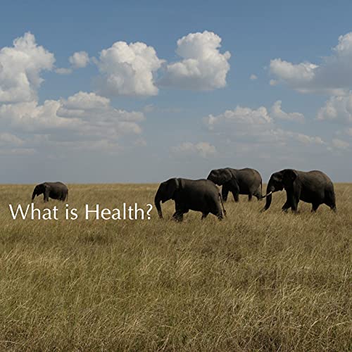 Honorable Evolution cover art