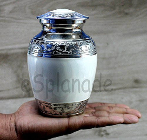 eSplanade Cremation Urn Memorial Container Jar Pot | Metal Burial Urns | Keepsake for Ashes | Brass - White - 6 Inches (Medium)
