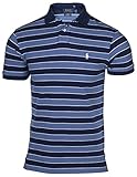 Polo Ralph Lauren Mens Custom Fit Striped Polo Shirt ( Blue/White, Medium)