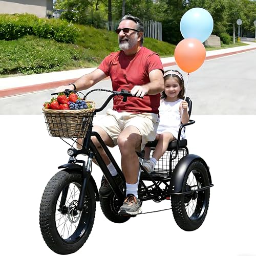 Dfdieratve Elektro Dreirad für Damen & Herren - 500W, 20' Breitreifen, 40km/h, 30km Reichweite, 200kg Zuladung, Tret- & E-Modus - Sicher & komfortabel