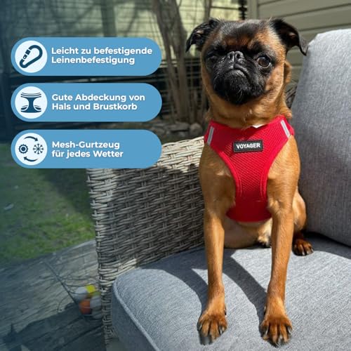 Voyager Step-In Air Hundegeschirr by Best Pet Supplies - All Weather Mesh Step in Vest Harness für kleine und mittlere Hunde, Rot, size L - Brust 45-52 cm