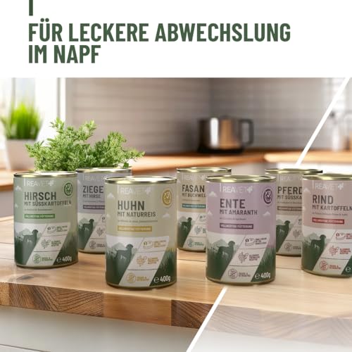 ReaVET Premium Hunde Nassfutter - Rind an Kartoffeln & Apfel 6 x 800g I mit hohem Fleischanteil & viel Muskelfleisch, Getreidefrei, Hundefutter nass, ohne Zucker