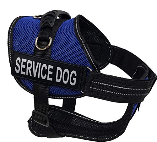 Activedogs.com Service Dog Kit - Xl Blue Mesh Service Dog Vest Harness + Registered Service Dog Id + Clip-On Bridge Handle + Ada/Federal Law Cards + Travel Tag #TOP5