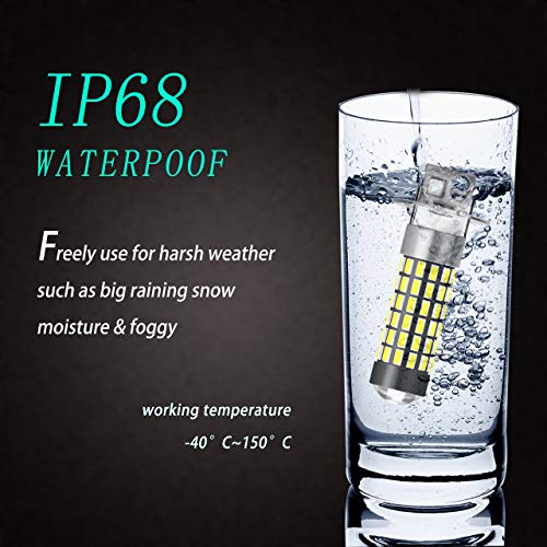 Katur, 2 lampadine LED da 900 lumen, attacco H3