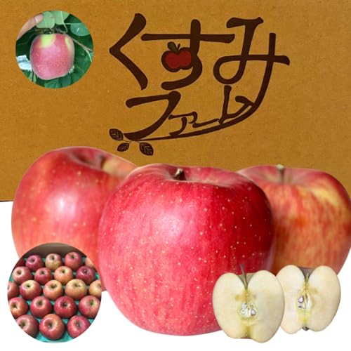 X ytƂ炸Tӂ ⏬ Mtgpz10kg n tARTGWF p Ε ̂V[Ή _ƒc ܕsgp Â  ь ʕi݃t@[ tART uhj(10kg)