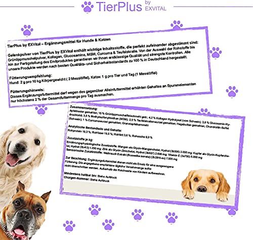 TierPlus Gelenkpulver für Hunde & Katzen, mit Grünlippmuschel, MSM, Kollagen, Glucosamin, Teufelskralle, Curcuma. Mehr Bewegungsfreude, Hohe Fressakzeptanz, 200g Pulver, hochdosiert & Made in Germany