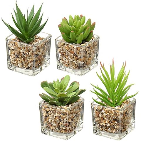 Plantas artificiales suculentas Briful en maceta de cristal, juego de 4 unidades Cover