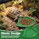 4 Stück Terrarien Näpfe Reptilien,Schildkröten Futterteller Trinkschale für Eidechsen mit Pinzette,Formen von Blättern und Mangos,Reptilien Wasserschale für Eidechsen,Schlangen,Schildkröten,Ratten