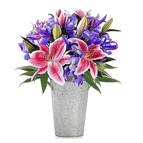 Stargazer Barn - Star Bright Bouquet - Farm Fresh Stargazer Lilies & Telstar Iris - Vase Included