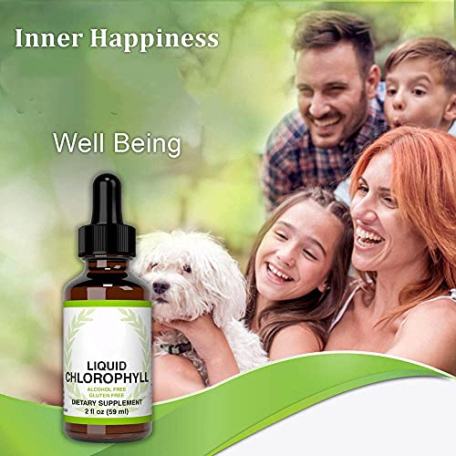 Liquid Chlorophyll Drops -Boost Energy, All-Natural Concentrate?Strengthen Immune System, Detox and Cleanse The Body… - Image 4