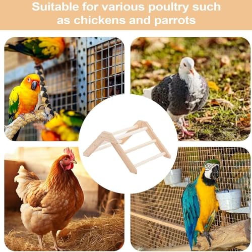 Barras de descanso para gallinas estables que evitan caídas y resbalones 6