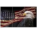 JBER Art Acoustic Panels, 47.2X27 Inches Acoustical Wall Panels, Sound Absorbing Wall Art, Decorative Acoustic Panels, Soundproof Wall Panels for Studio, Home & Living Room (Bald Eagle with Flag)