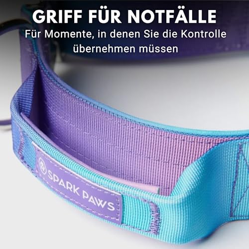 Spark Paws Taktisches Hundehalsband – Robuste, Premium-Qualität, Dick und Langlebig für Große und Mittelgroße Hunde - 90s Retro - - S: 16-25kg [5cm]