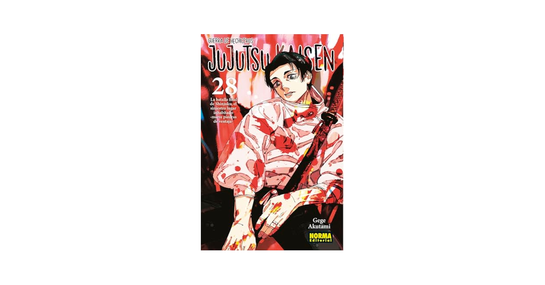 JUJUTSU KAISEN 28: AKUTAMI, GEGE: 9788467975819: Amazon.com