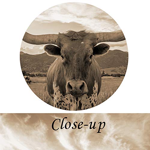 Kreative Arts Sepia Animal Canvas Wall Art Highland Cattle With Long Horns Picture Texas Longhorn In Sunset Farm Painting For Home Decor Modern Living Room Decorations Ready To Hang 24X36In #TOP4