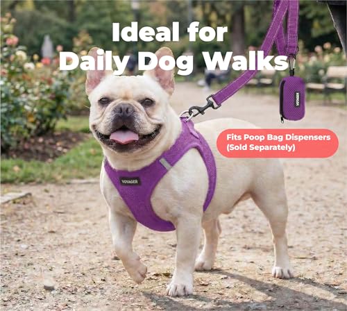 Image of Best Pet Supplies Voyager Reflective Dog Leash or Collar with Neoprene Handle, for Small, Medium, and Large Breed Puppies, Cute and Heavy Duty for Walking, Running and Training - Purple (Leash), M