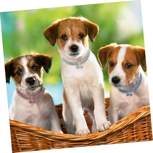 Abaodam 񃉃CXg[ybg e͐zCg LL^`[t Lpt@bVObY ŉKȑ